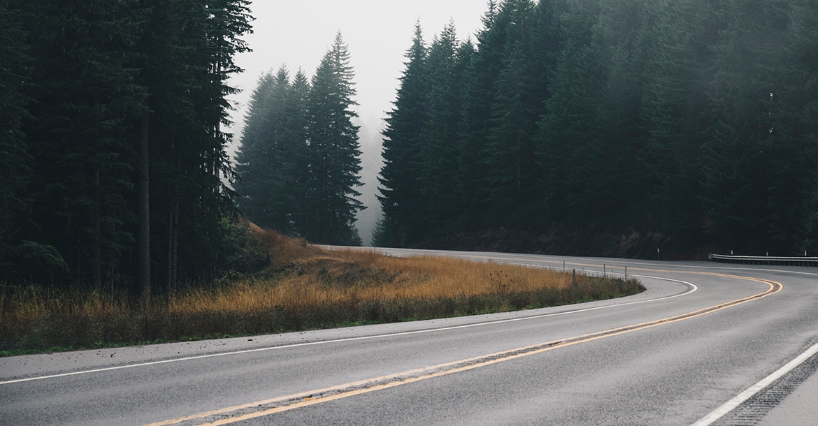 Banner image of this post