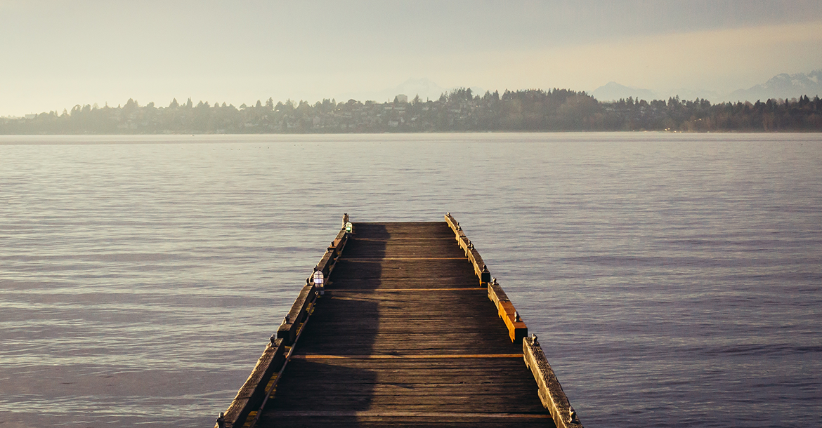 Banner image of this post