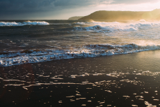 Banner image of this post