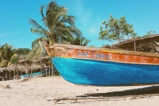 Banner image of this post