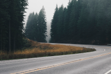 Banner image of this post