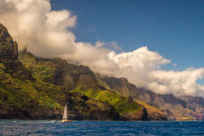 Banner image of this post