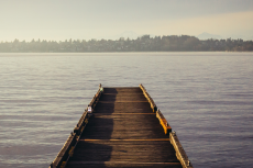 Banner image of this post