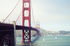 Banner image of this post