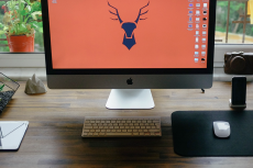 Banner image of this post